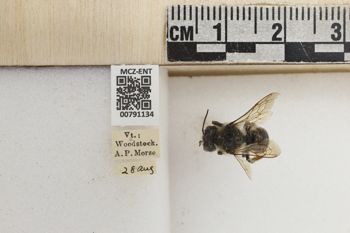 Media type: image;   Entomology 791134 Aspect: Labels